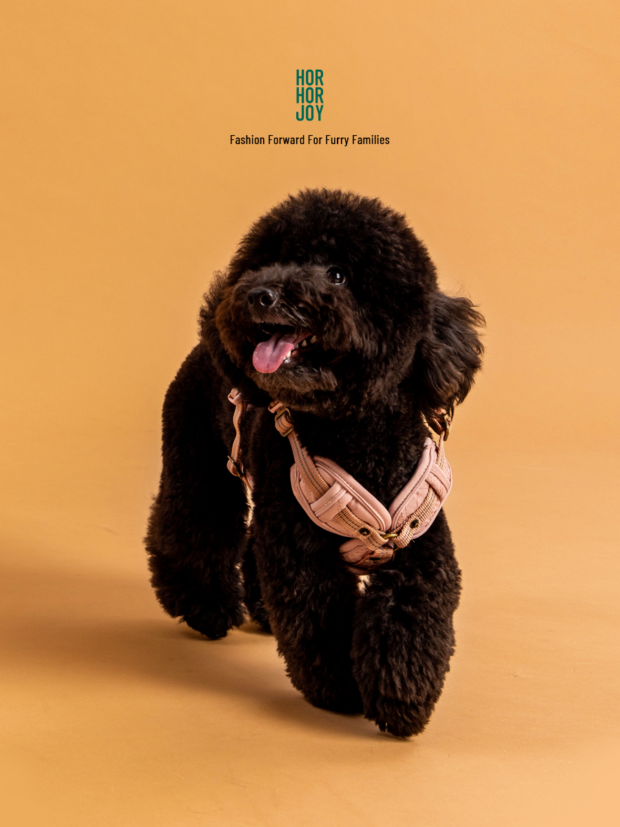 好好散步友善胸背帶 | 鉑金款 2.0 (粉)