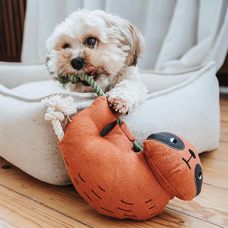 Rio 生動里約 玩偶 樹懶 F