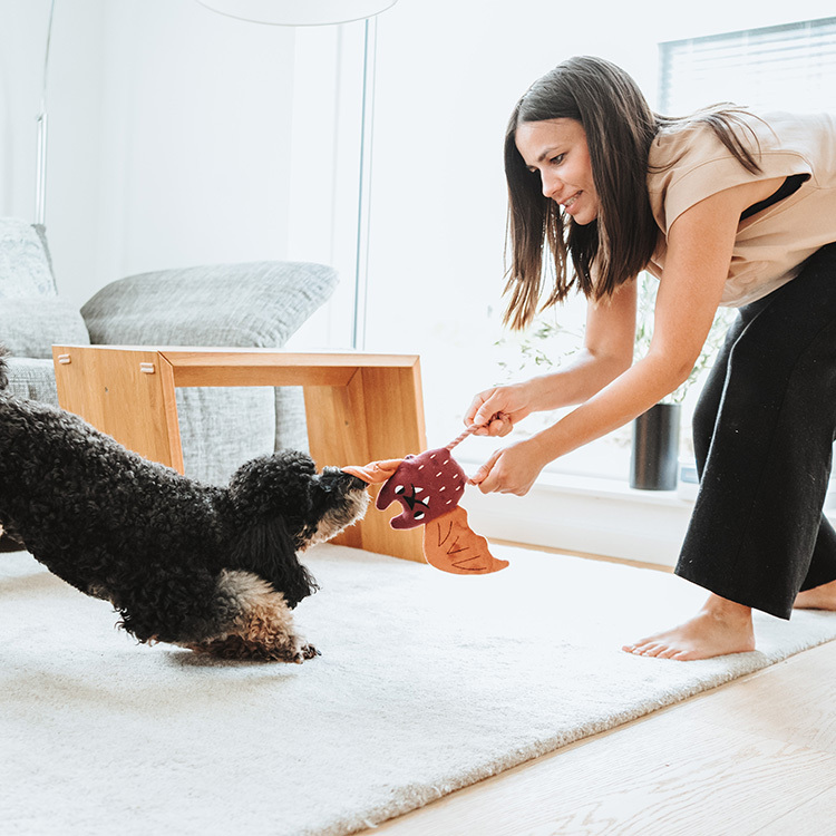 Rio 生動里約 玩偶 蝙蝠 F