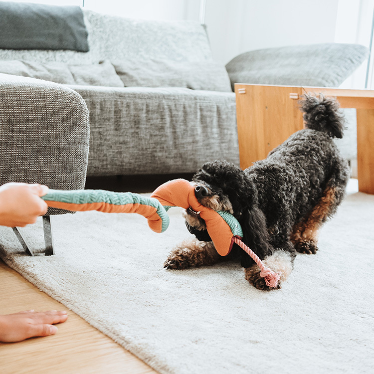 Rio 生動里約 玩偶 蛇 F