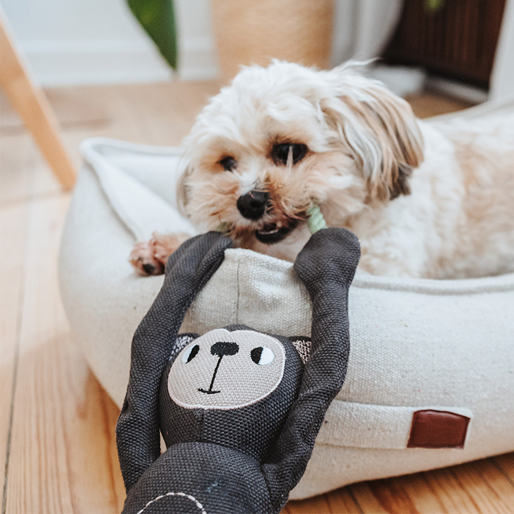 Rio 生動里約 玩偶 猴子 F