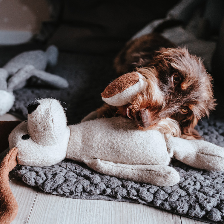 Marle 愉悅瑪爾 玩偶 狗 F