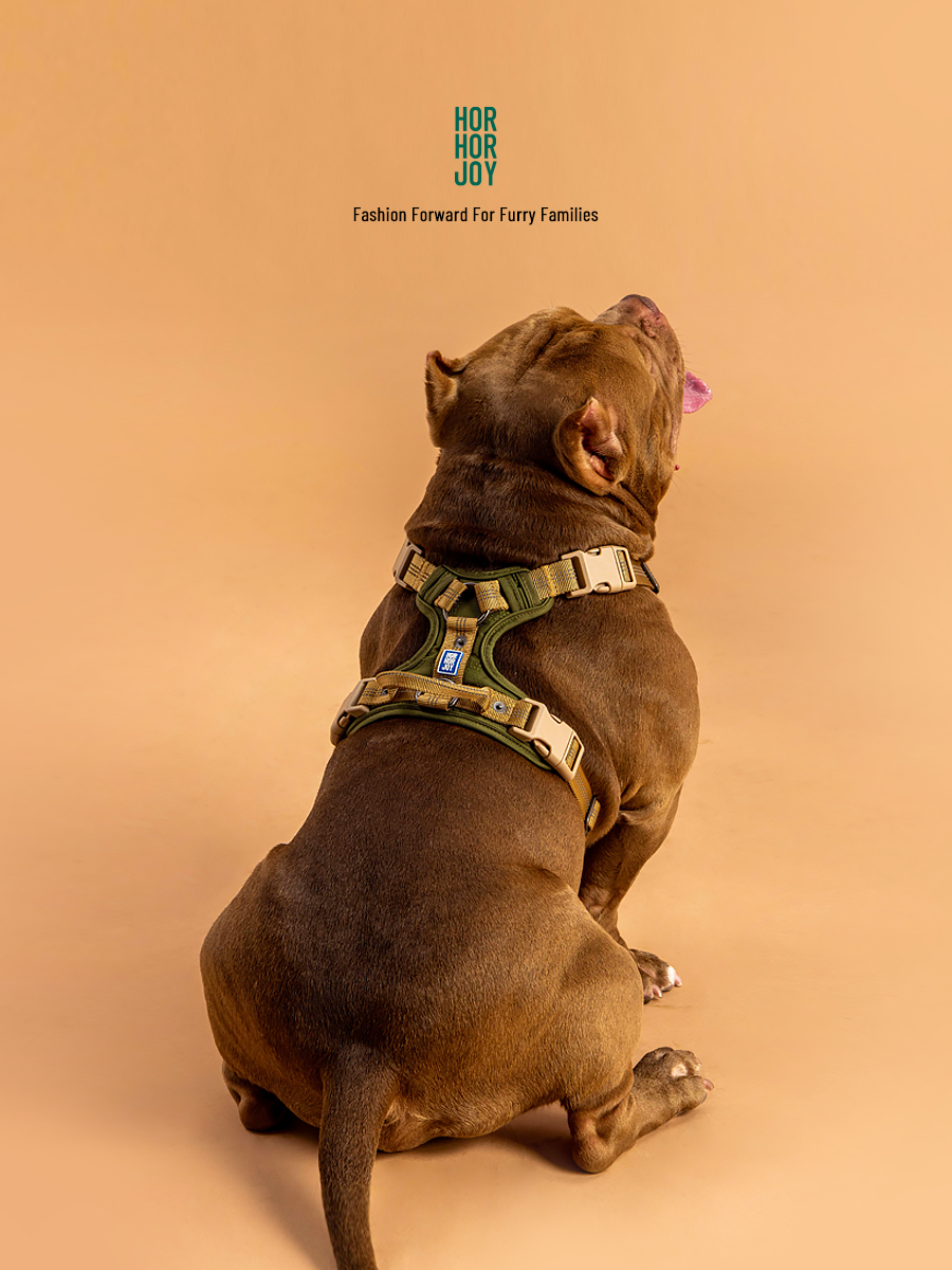 好好散步友善胸背帶 | 經典款 (綠)