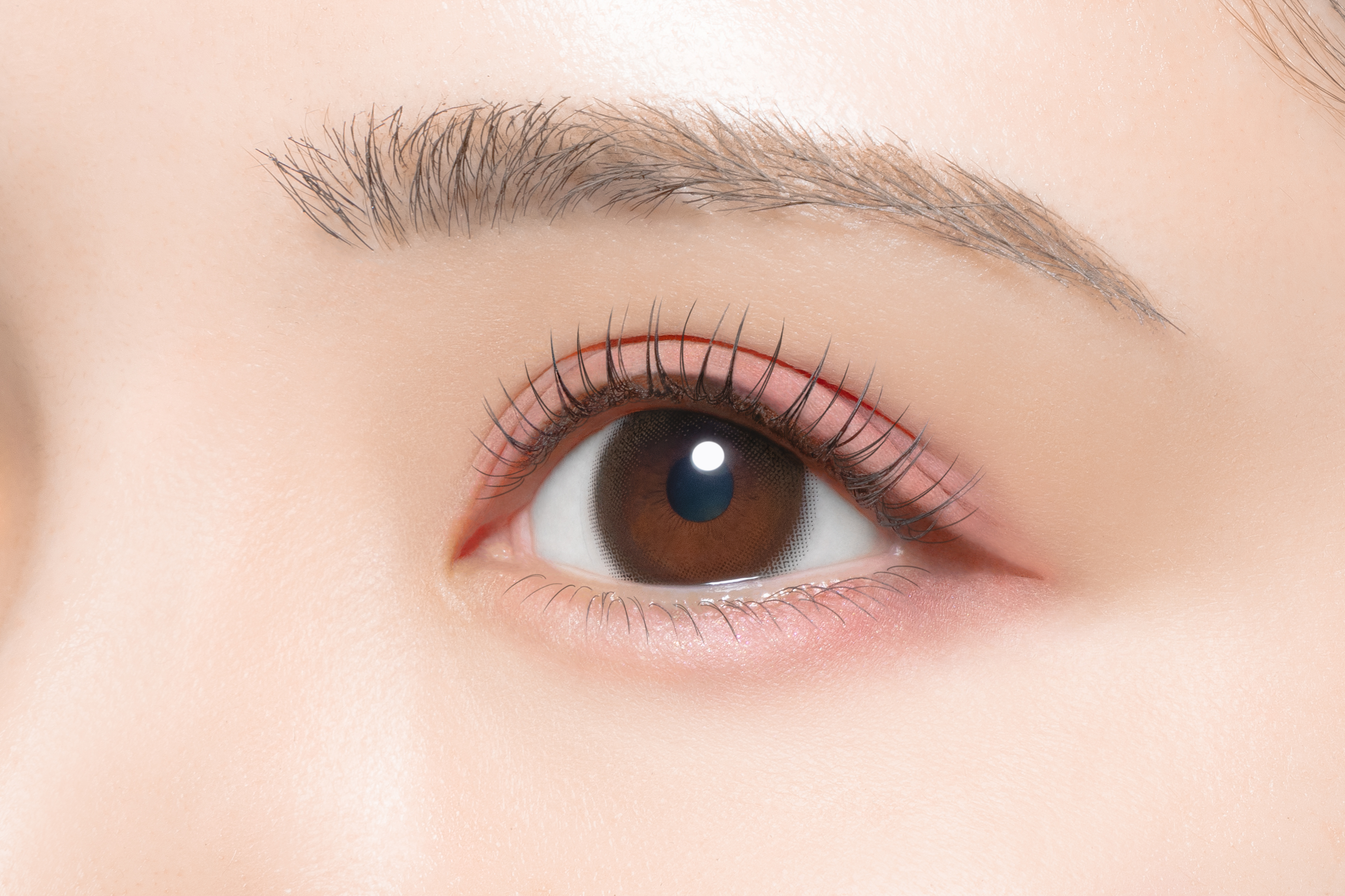 TOPARDS Color Contact Lenses 日本TOPARDS彩色隱形眼鏡(自然裸眼風)(1DAY)(10片裝)(Baby Espresso)