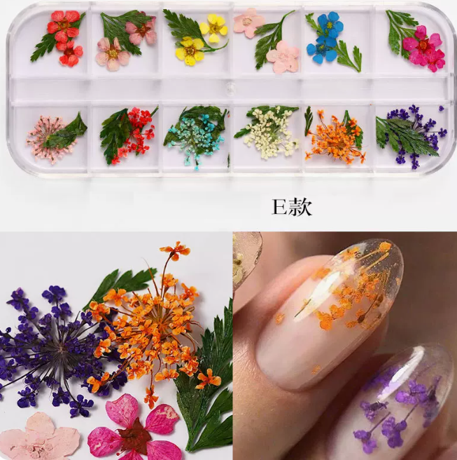 Hot Recommended Nail Art Accessories Dried Flowers Style E (12-Gate Box)