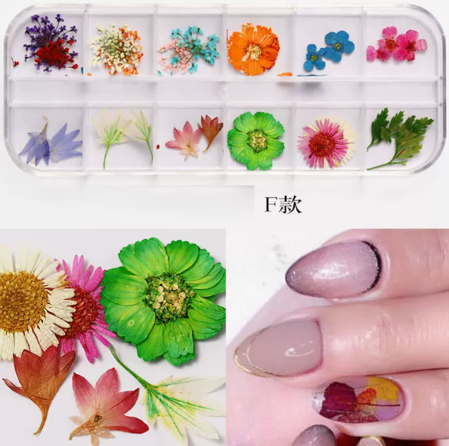 Hot Recommended Nail Art Accessories Dried Flowers Type F (12-Gate Box)