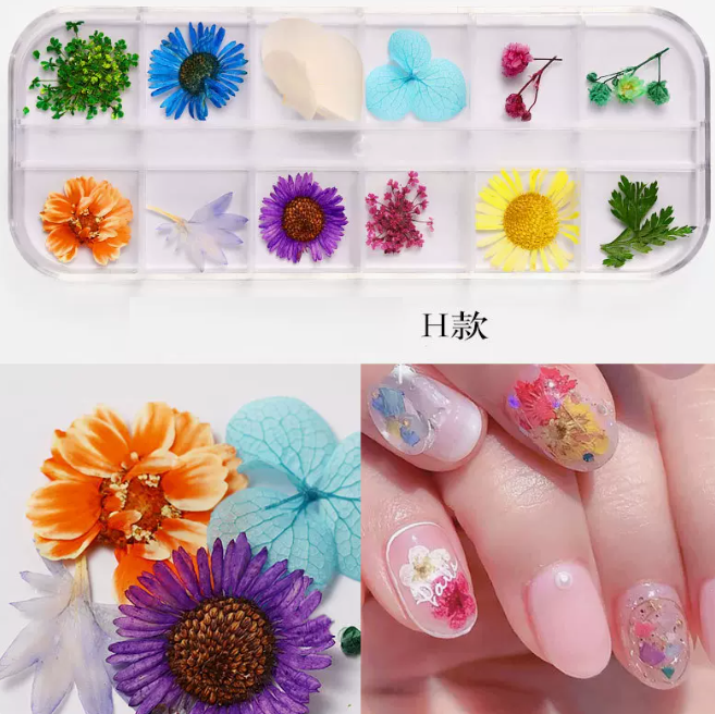 Hot Recommended Nail Art Accessories Dried Flowers Type H (12-Gate Box)