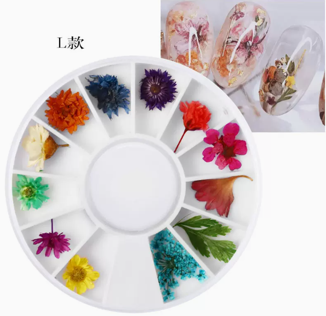 Hot Recommended Nail Art Accessories Dried Flowers L Style (12 Boxes)