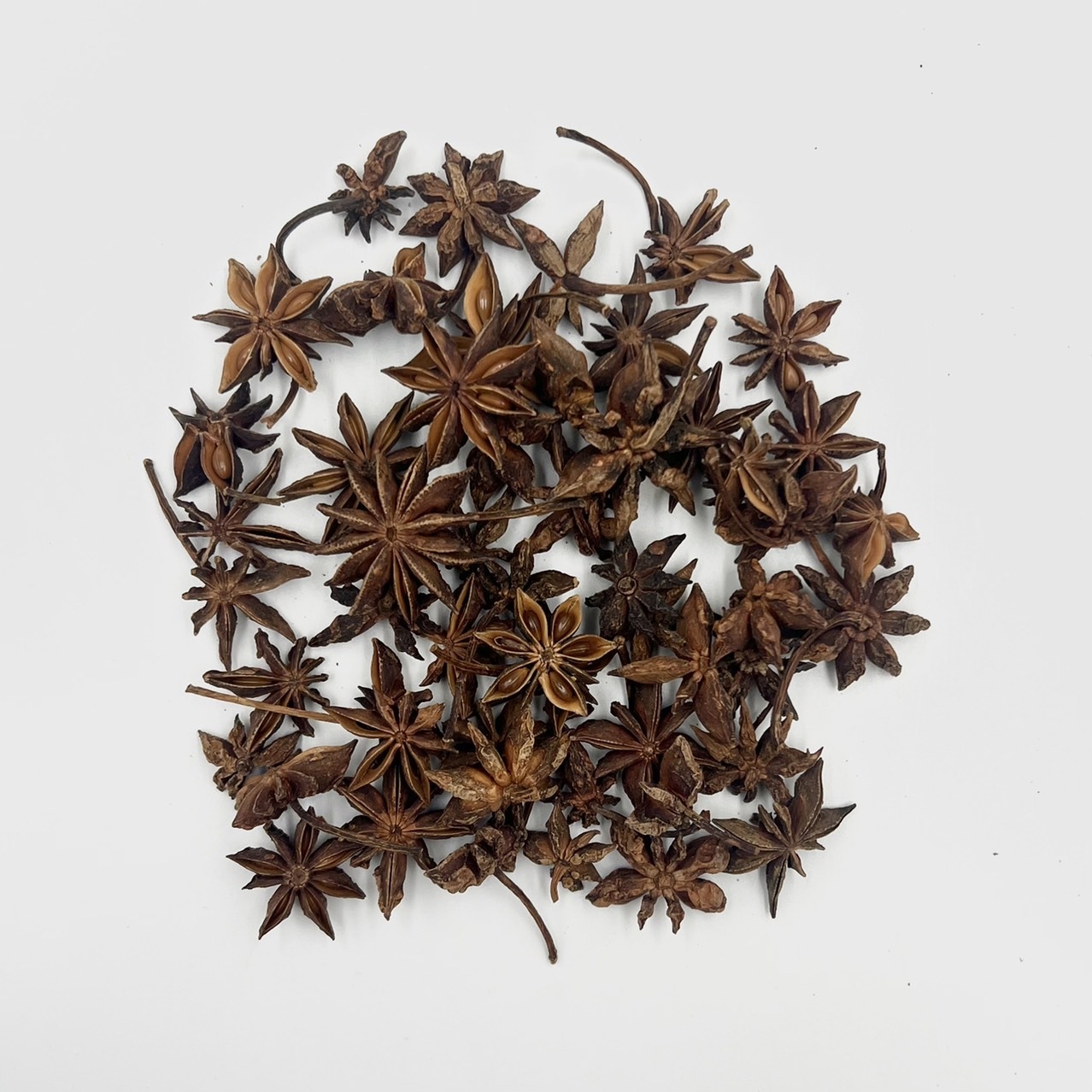 乾燥八角花 (50g)