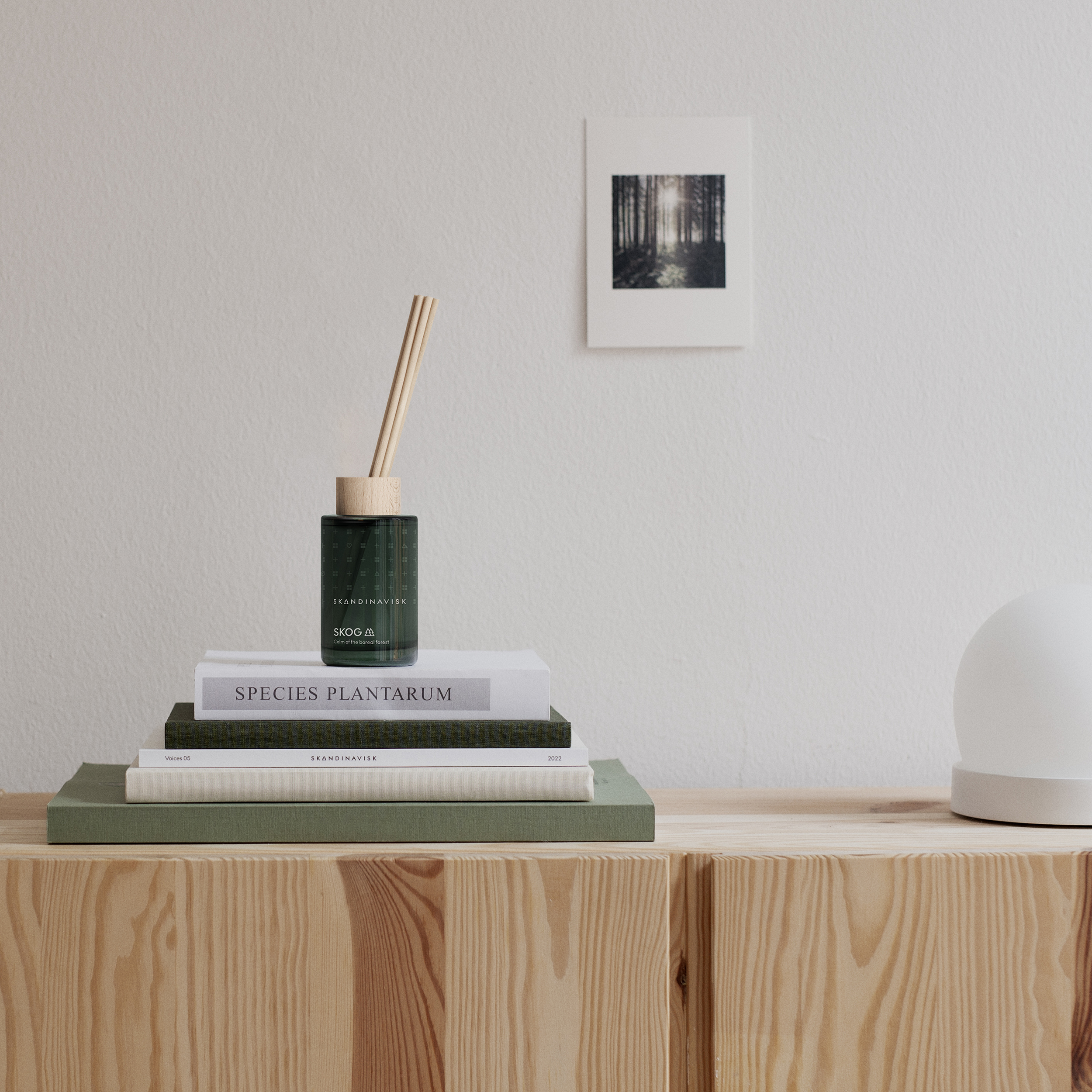 SKOG 挪威森林擴香