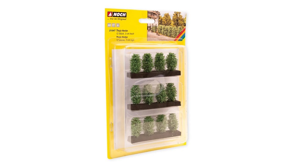 Noch 21547 Thuja Hedge