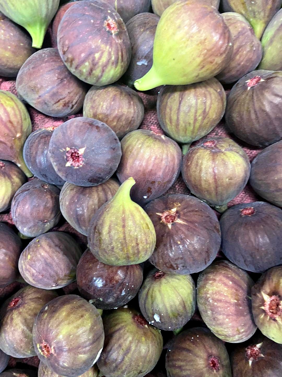 自煮生活｜南投仁愛鄉 國產友善農法無花果（600g盒裝）