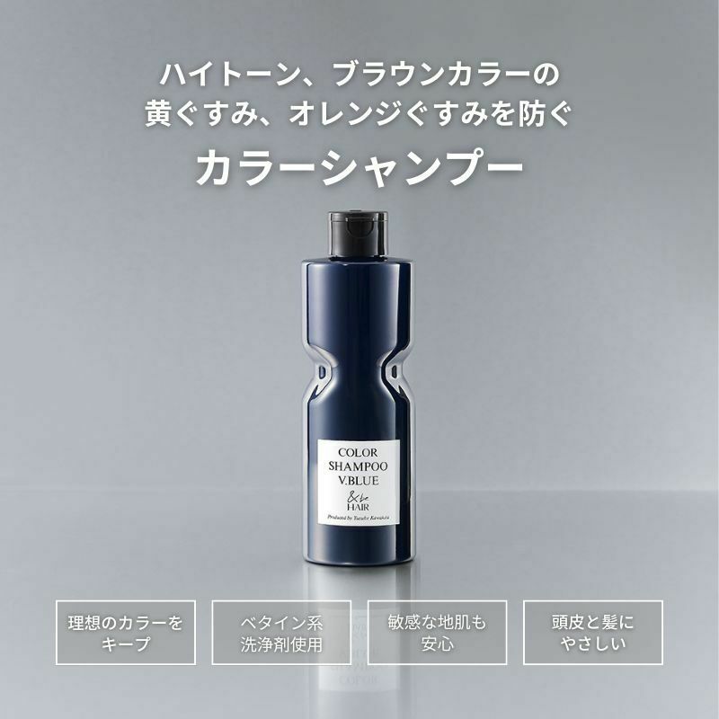 &be (andbe) Color Shampoo V. Blue 護色洗髮水280mL