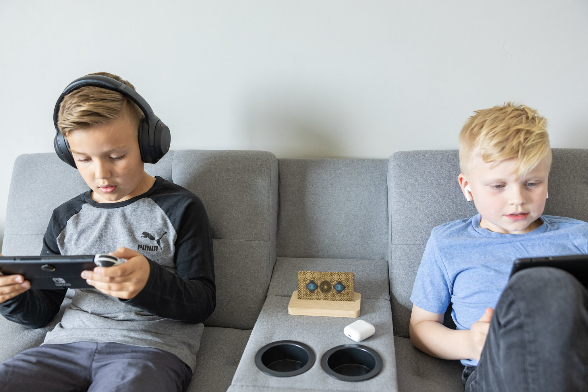 LIFETUNE ZONE MAX 磁波調和器 -Purland