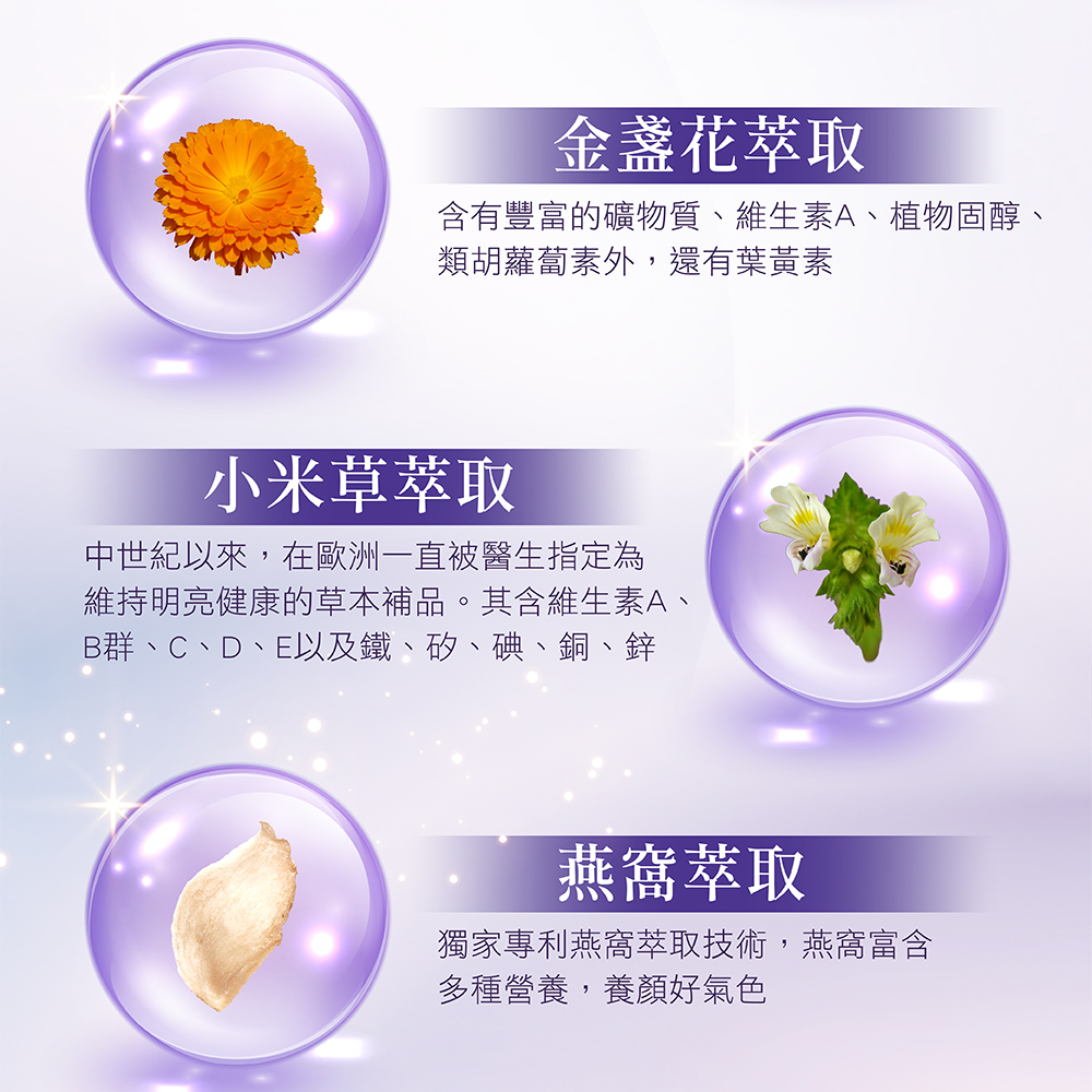 黃梔子
