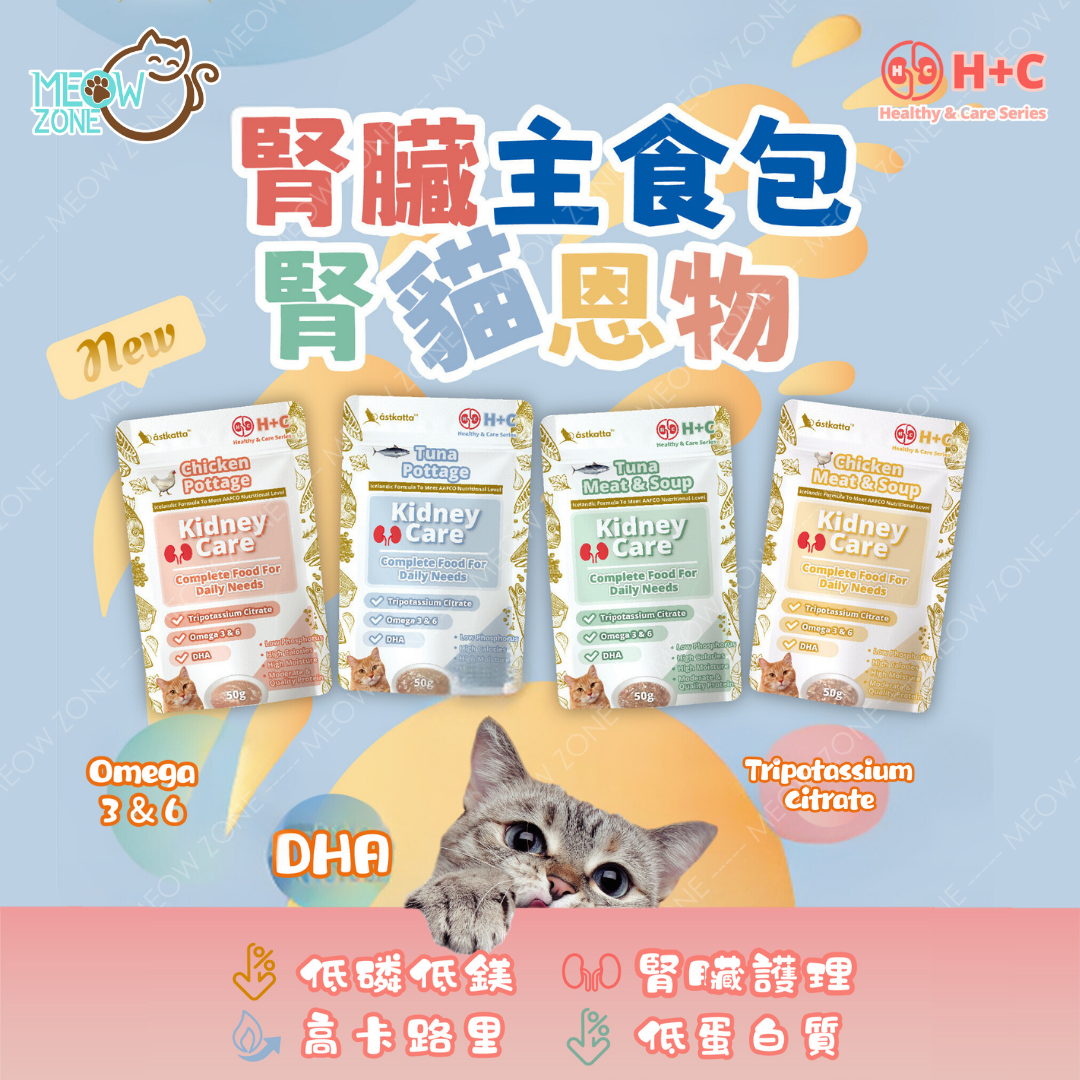 Astkatta 冰島【腎貓專享】腎貓營養主食湯包 50g (低磷低鎂) - 雞肉絲湯 Chicken Meat & Soup
