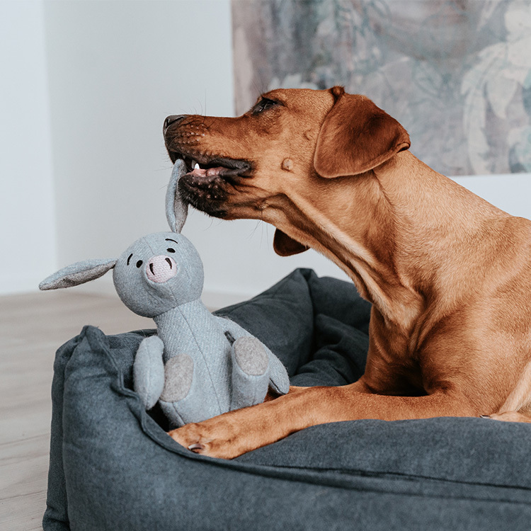 Marle 愉悅瑪爾 玩偶 豬 F