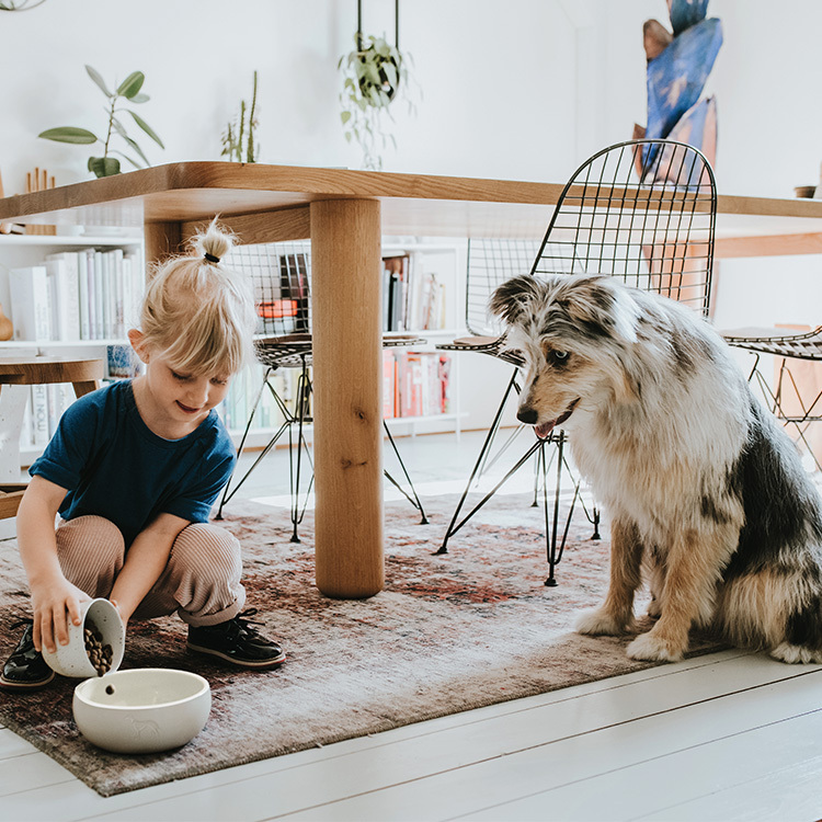 Lund 隆德 陶瓷寵物碗