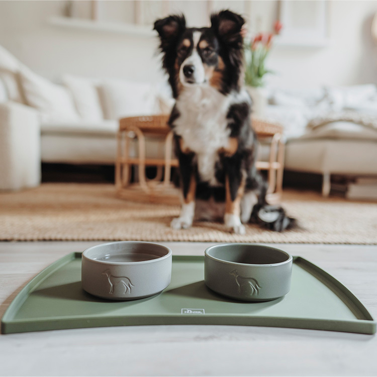 Osby 奧斯比 陶瓷寵物碗