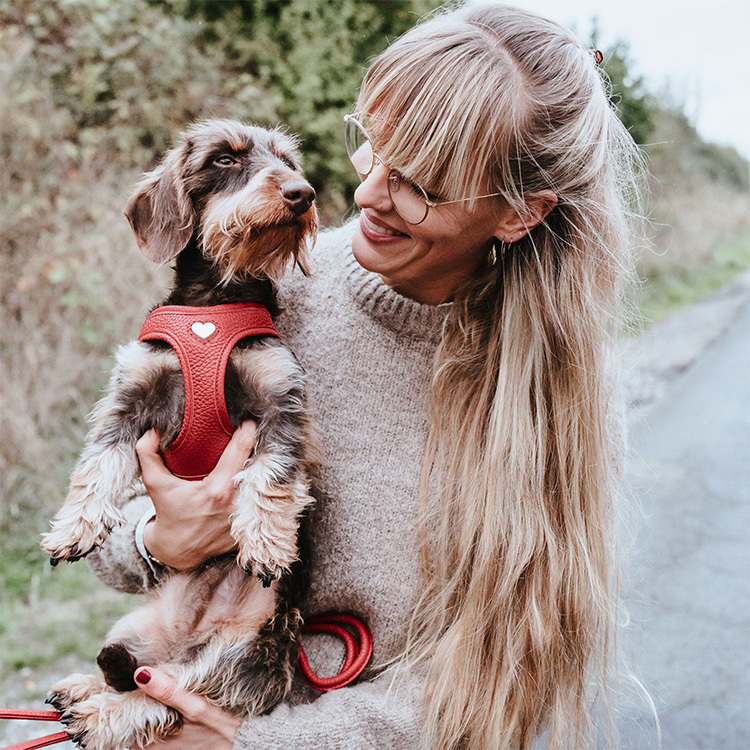 Love 珍愛牛皮 快套胸背