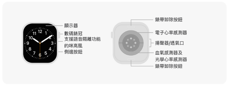 Apple Watch Series10 42mm 智能手錶 [GPS] 運動錶帶 [3色]【香港行貨】