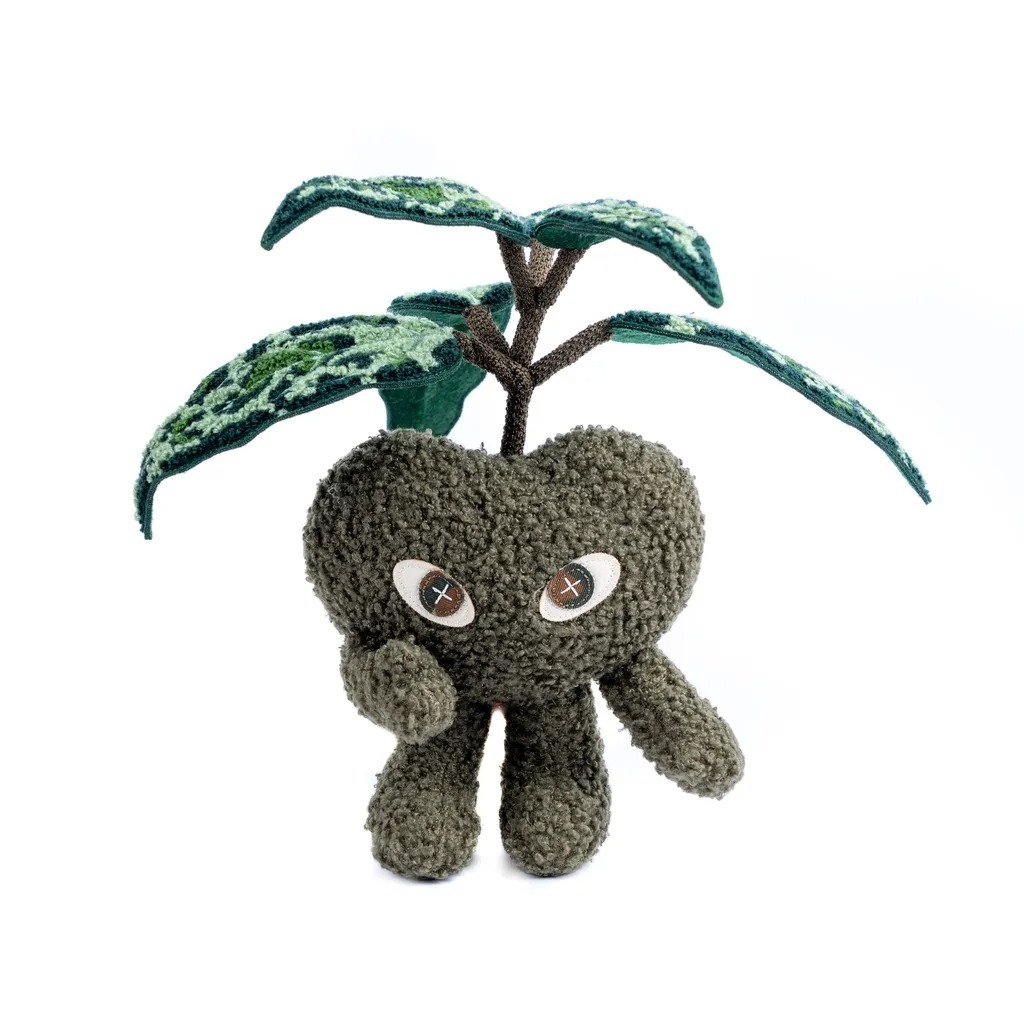 HAKKEI 迷彩粗肋草愛豆