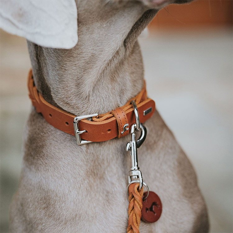 Solid Education 經典編織牛皮 項圈