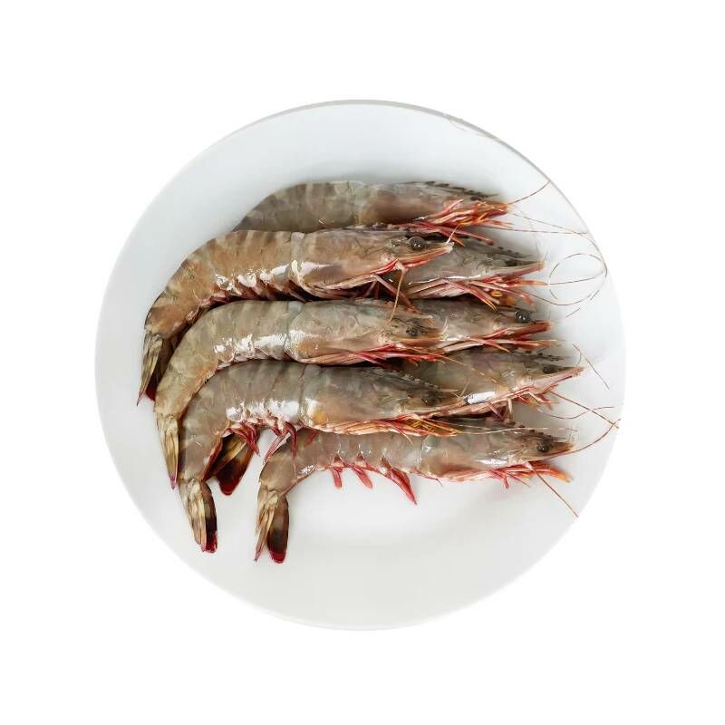 越南 Sea Power 原隻虎蝦 (10頭) 500g