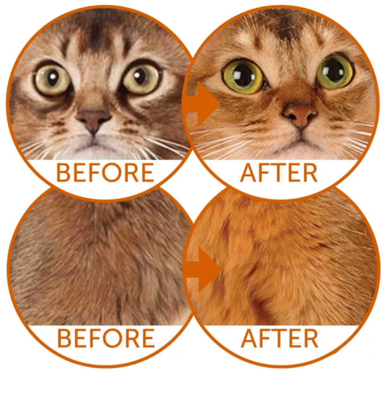 Nature's Protection 去淚痕美毛 無穀物橘貓配方(鯡魚) 成貓糧 1.5kg