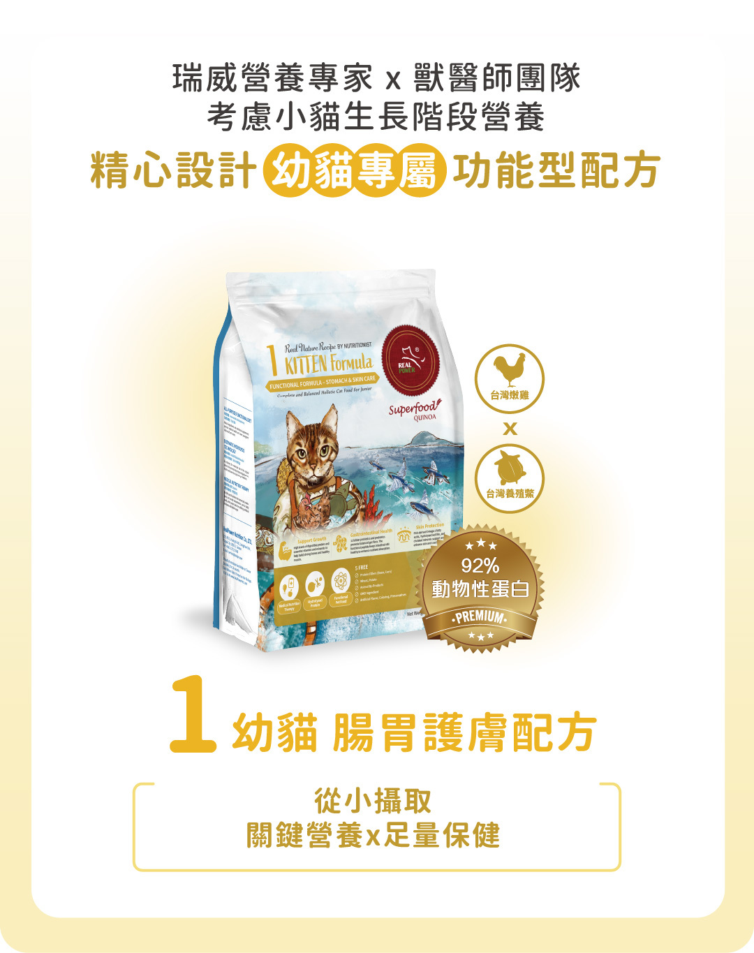瑞威幼貓糧 腸胃護膚配方,從小攝取關鍵營養x足量保健。92%動物性蛋白質。精心設計幼貓專屬功能型配方
