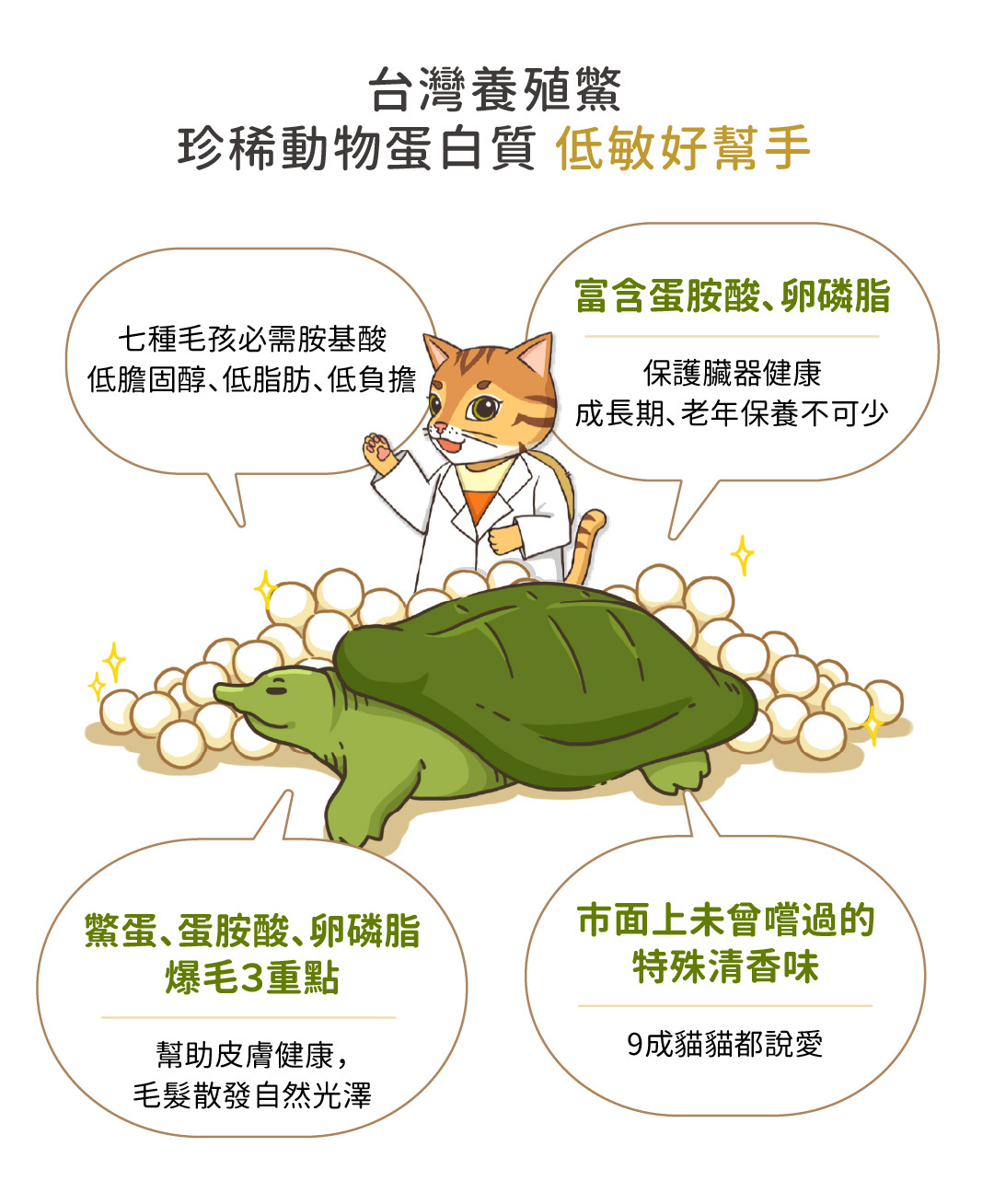 台灣養殖鱉,珍稀動物蛋白質低敏好幫手。