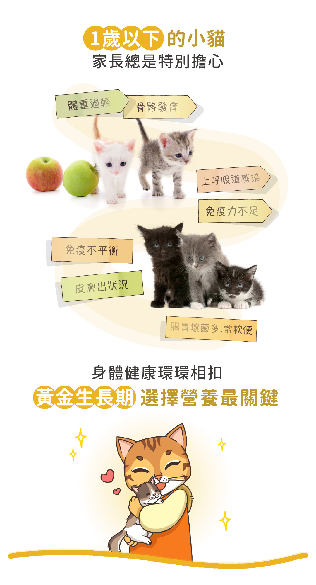 瑞威幼貓糧 腸胃護膚配方，從小攝取關鍵營養x足量保健。92%動物性蛋白質。精心設計幼貓專屬功能型配方