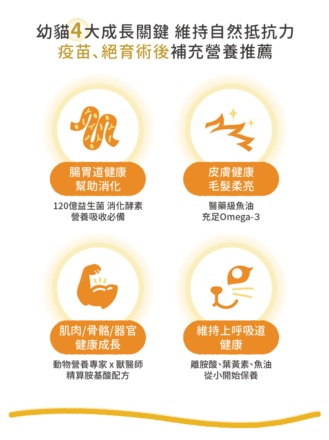 瑞威幼貓糧，幼貓4大成長關鍵：維持自然抵抗力，疫苗、絕育術後補充營養。肌肉器官發育、上呼吸道保健、腸胃道保健、毛髮柔亮