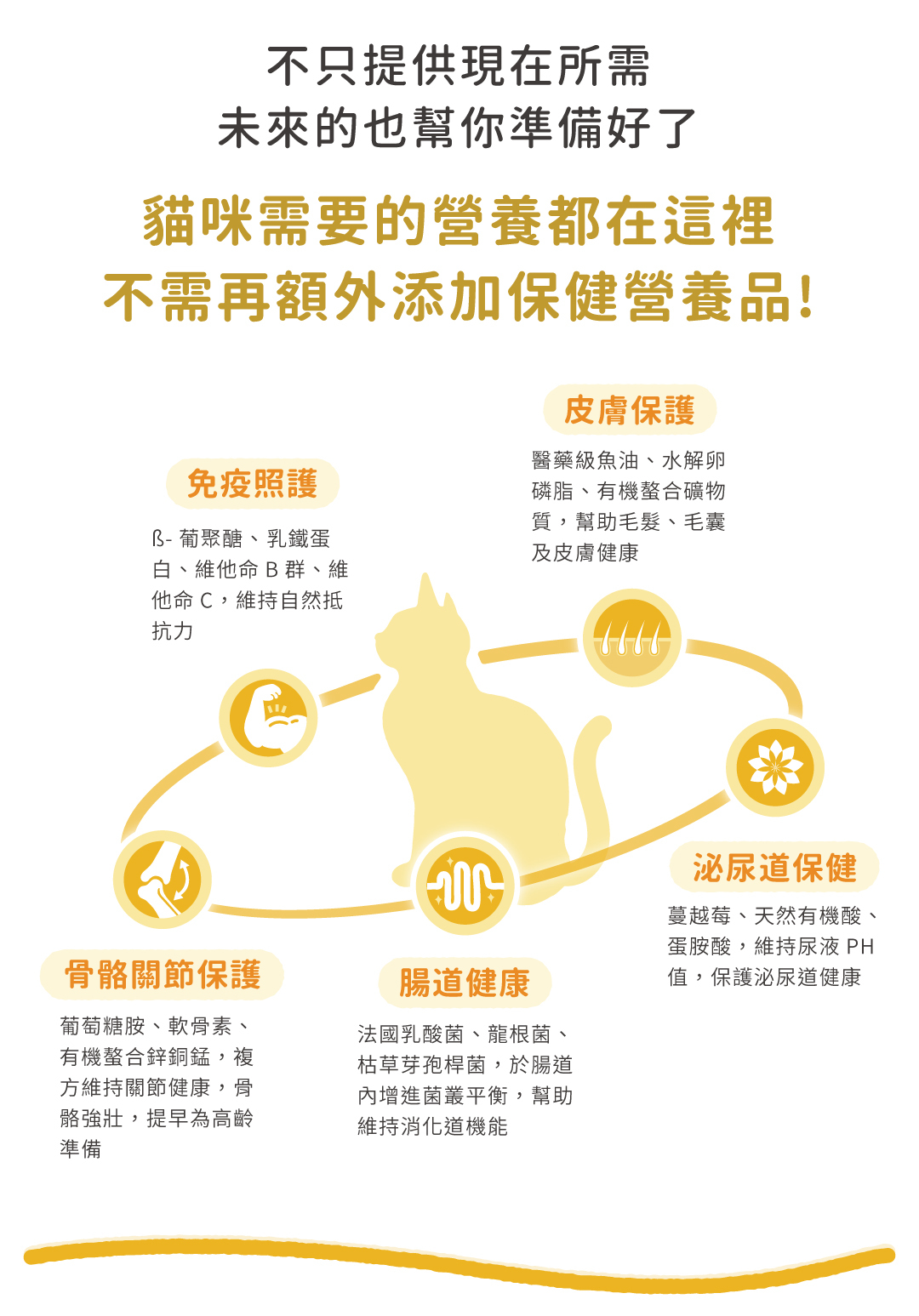 功能型貓糧x適口性佳x低敏好吸收，複方機能加強外，一糧5效，台灣貓咪常見健康問題，一糧健康打底。皮膚保護、泌尿道保健、腸道健康、骨骼關節、免疫照護