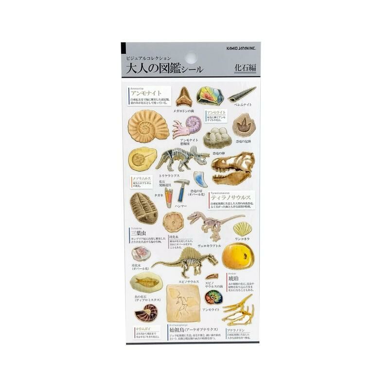 化石 大人的圖鑑 金箔壓印手帳貼紙｜日本Kamio