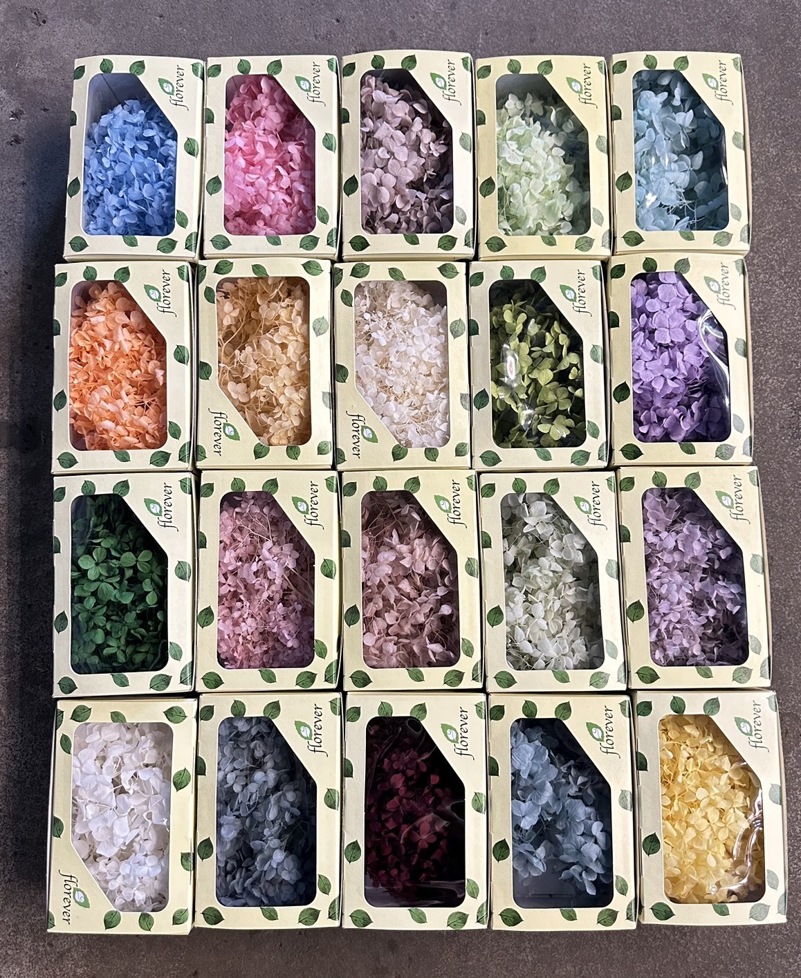 日本Florever 不凋繡球（20g)