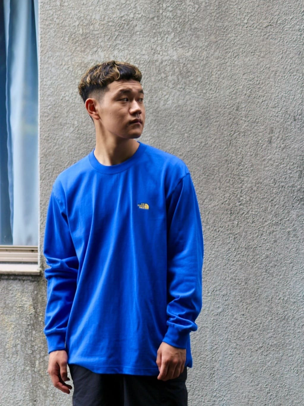 日本 TNF Nuptse Cotton Tee