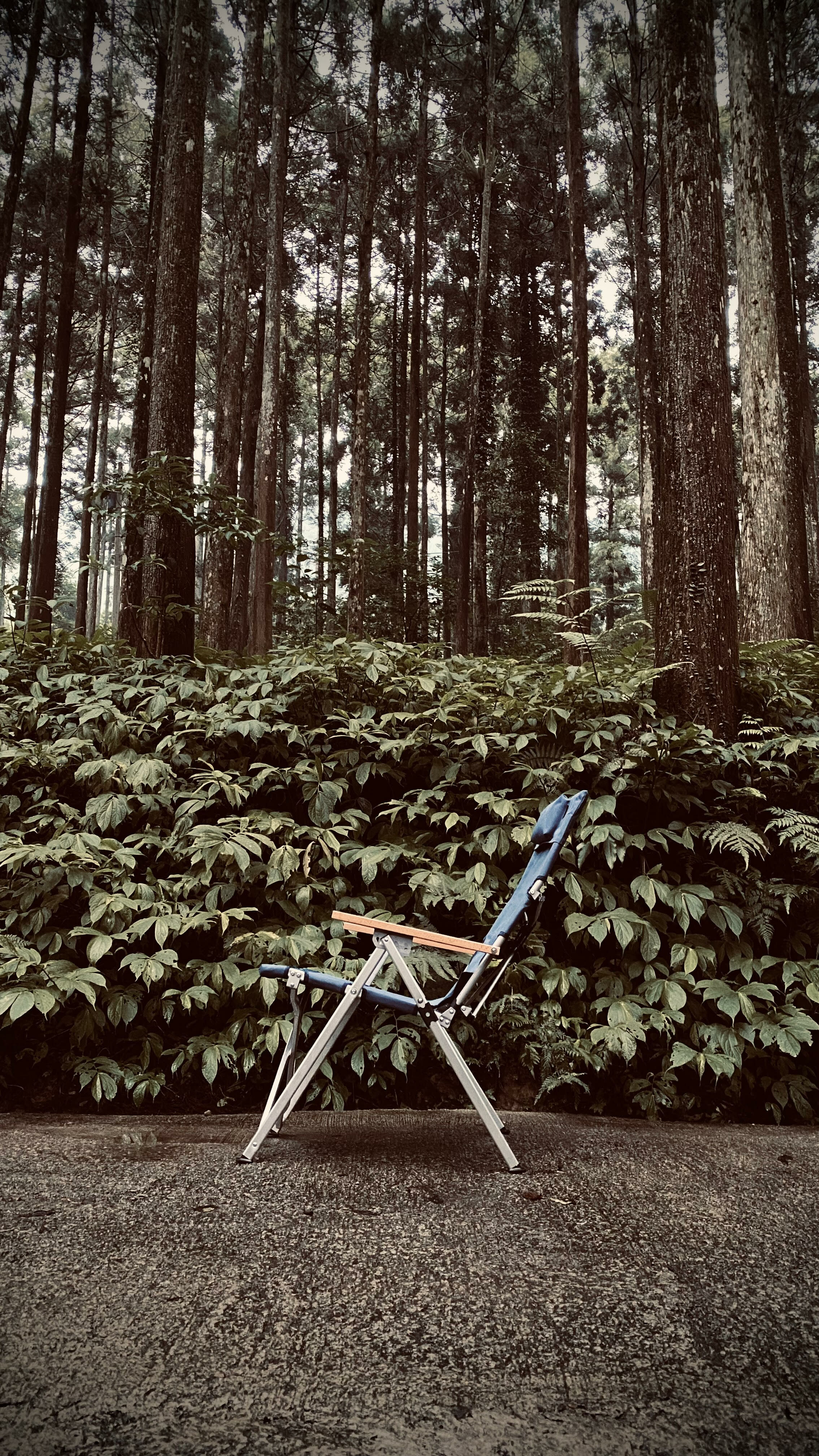 unrv.海洋之星四段椅