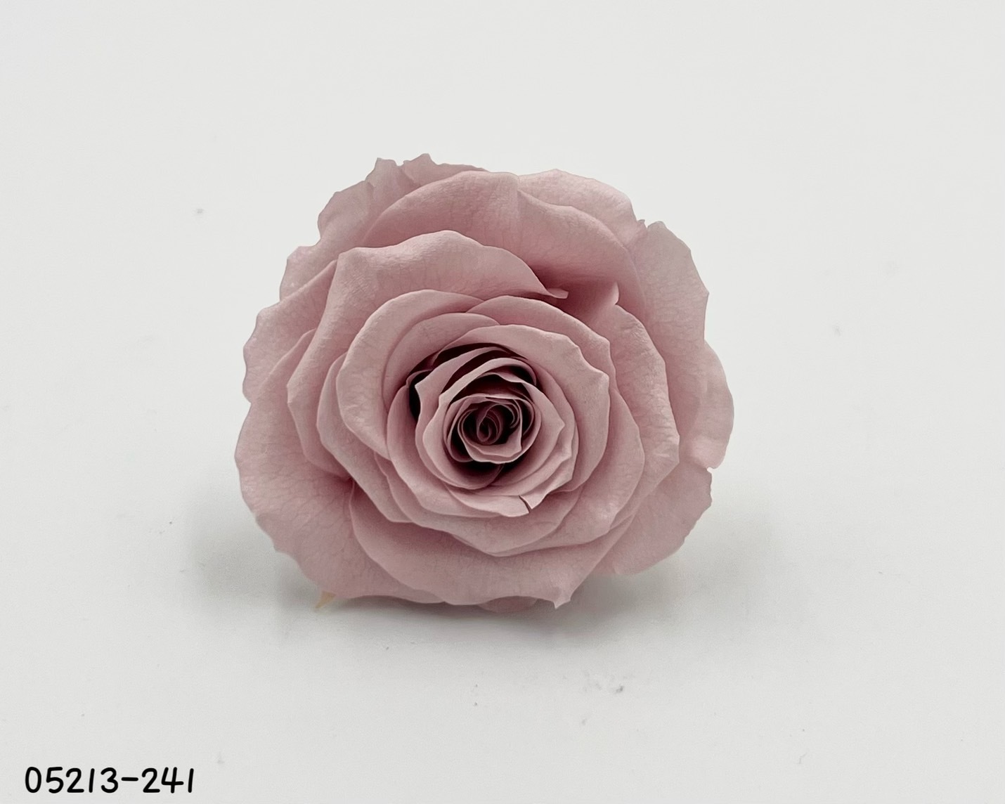 日本不凋大輪玫瑰(6輪) 05213-241