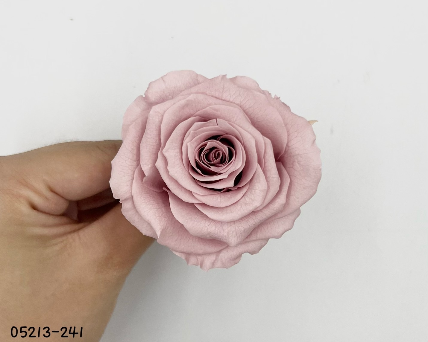 日本不凋大輪玫瑰(6輪) 05213-241