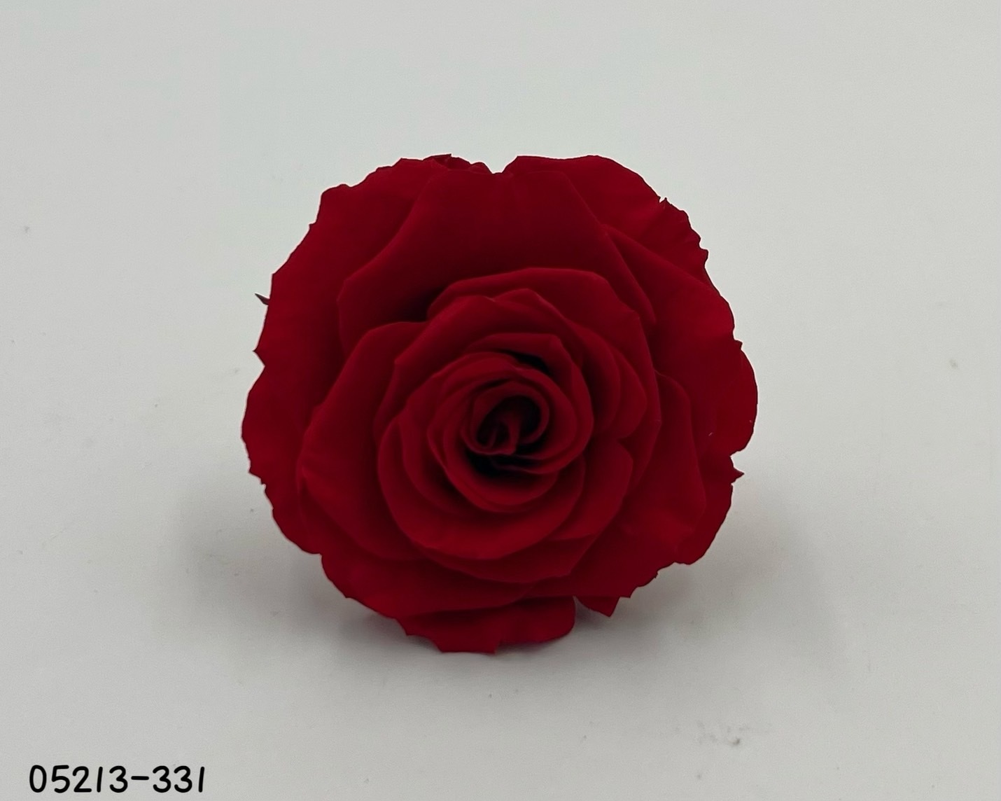 日本不凋大輪玫瑰(6輪) 05213-331