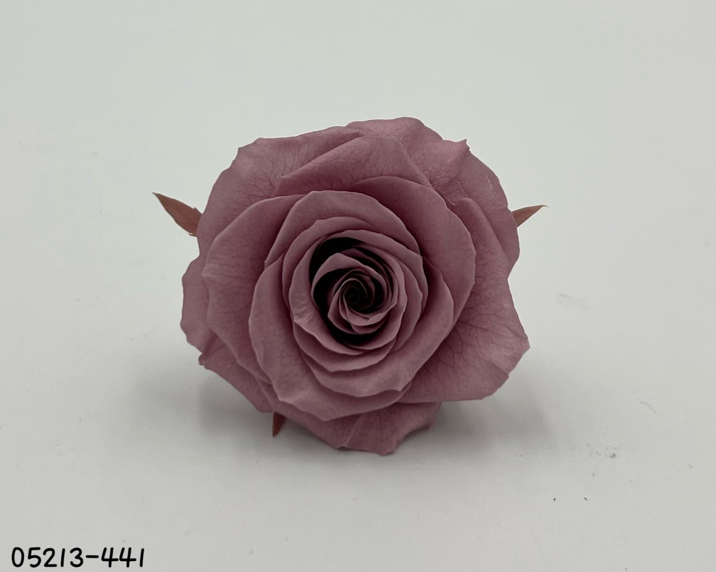 日本不凋大輪玫瑰(6輪) 05213-441