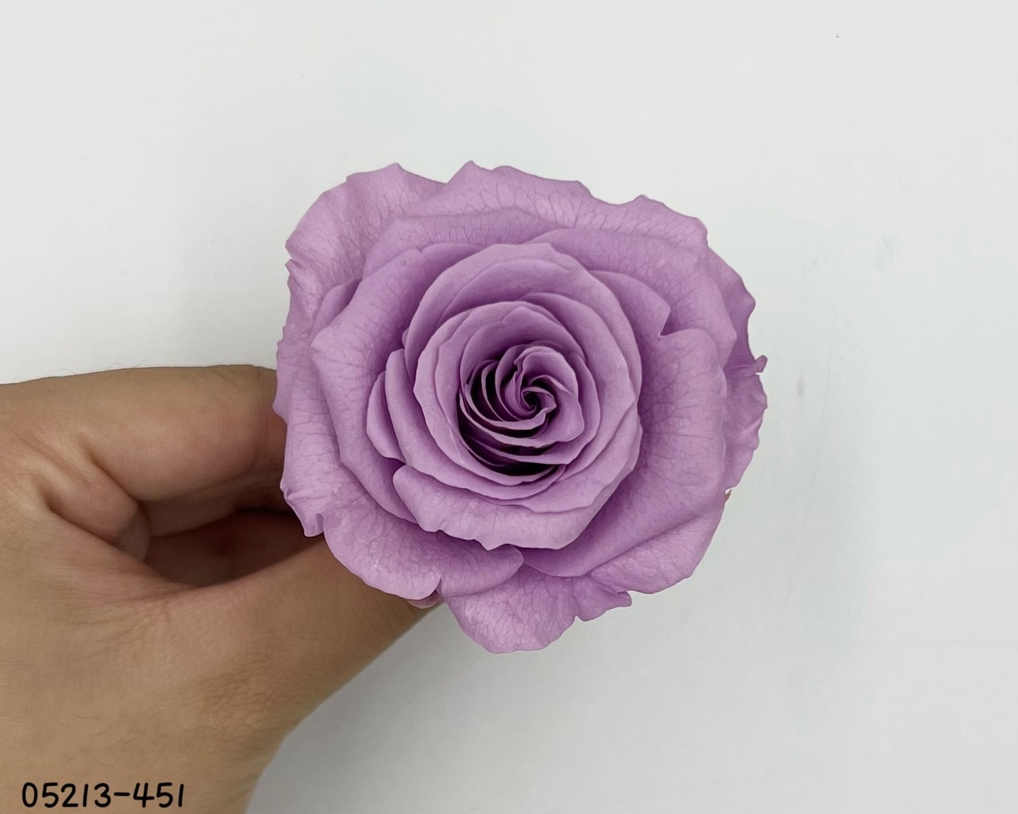 日本不凋大輪玫瑰(6輪) 05213-451