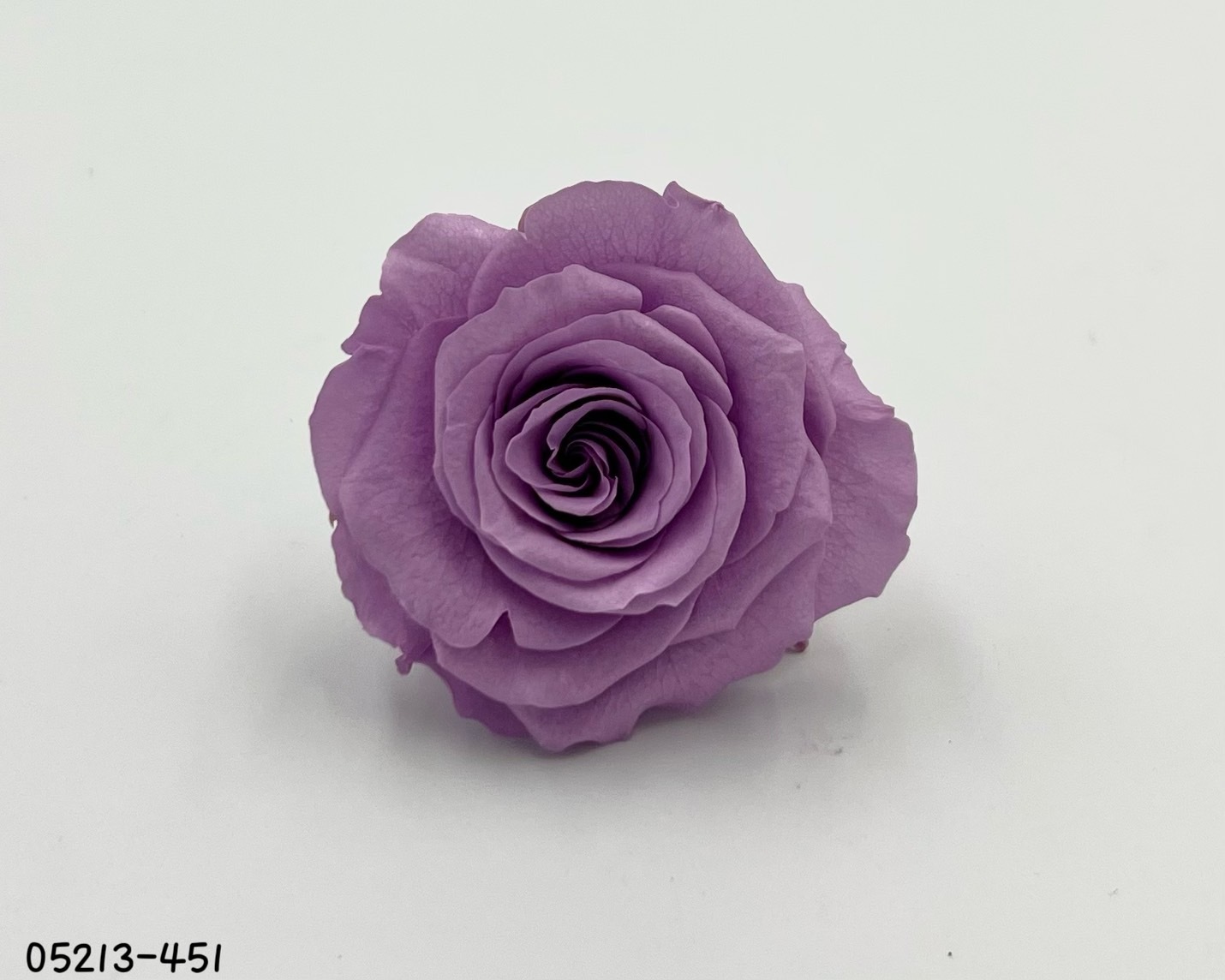 日本不凋大輪玫瑰(6輪) 05213-451