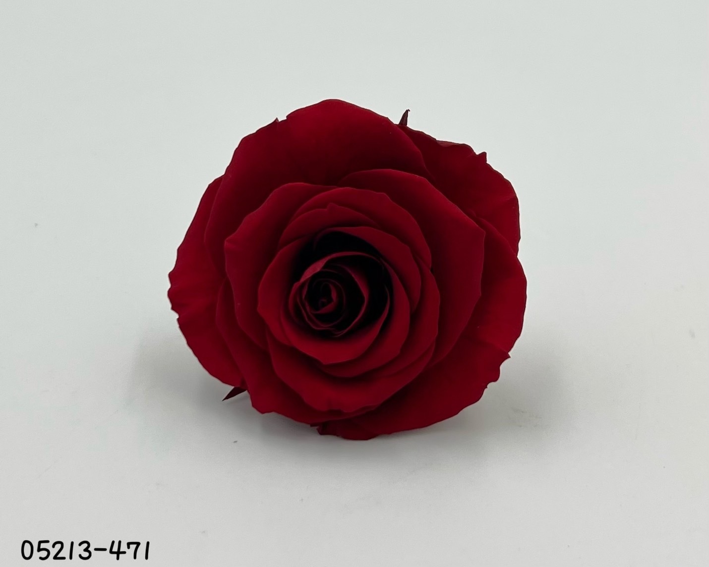 日本不凋大輪玫瑰(6輪) 05213-471