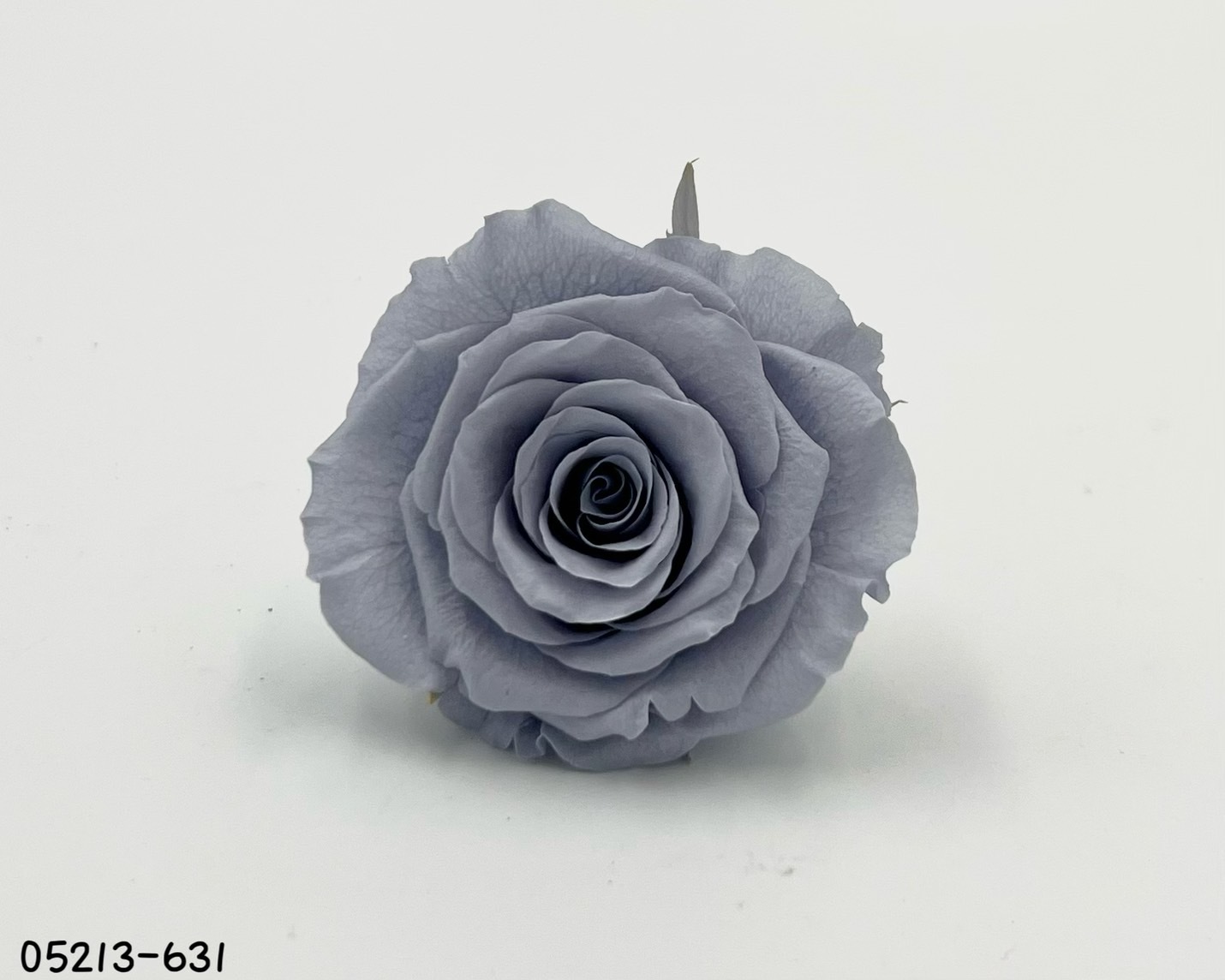 日本不凋大輪玫瑰(6輪) 05213-631