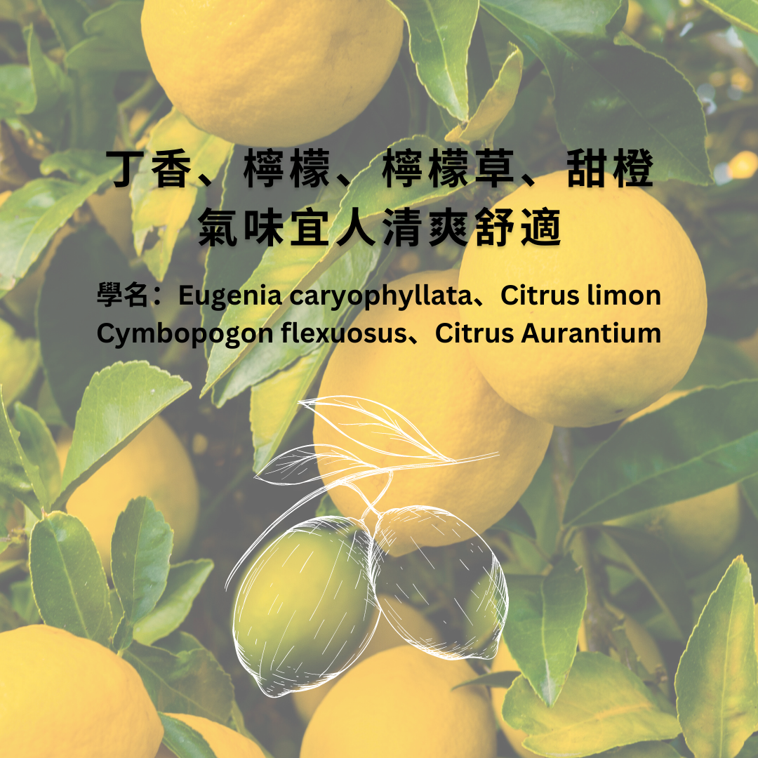 綠豆薏仁香皂, 去角質, 手工皂推薦, 沐浴皂, 沐浴皂, 敏感肌 手工皂, 沐浴皂 推薦, 純 皂, 天然手工皂, 天然肥皂推薦, 手工皂推薦, 全身皂, 純皂生活,the soap days