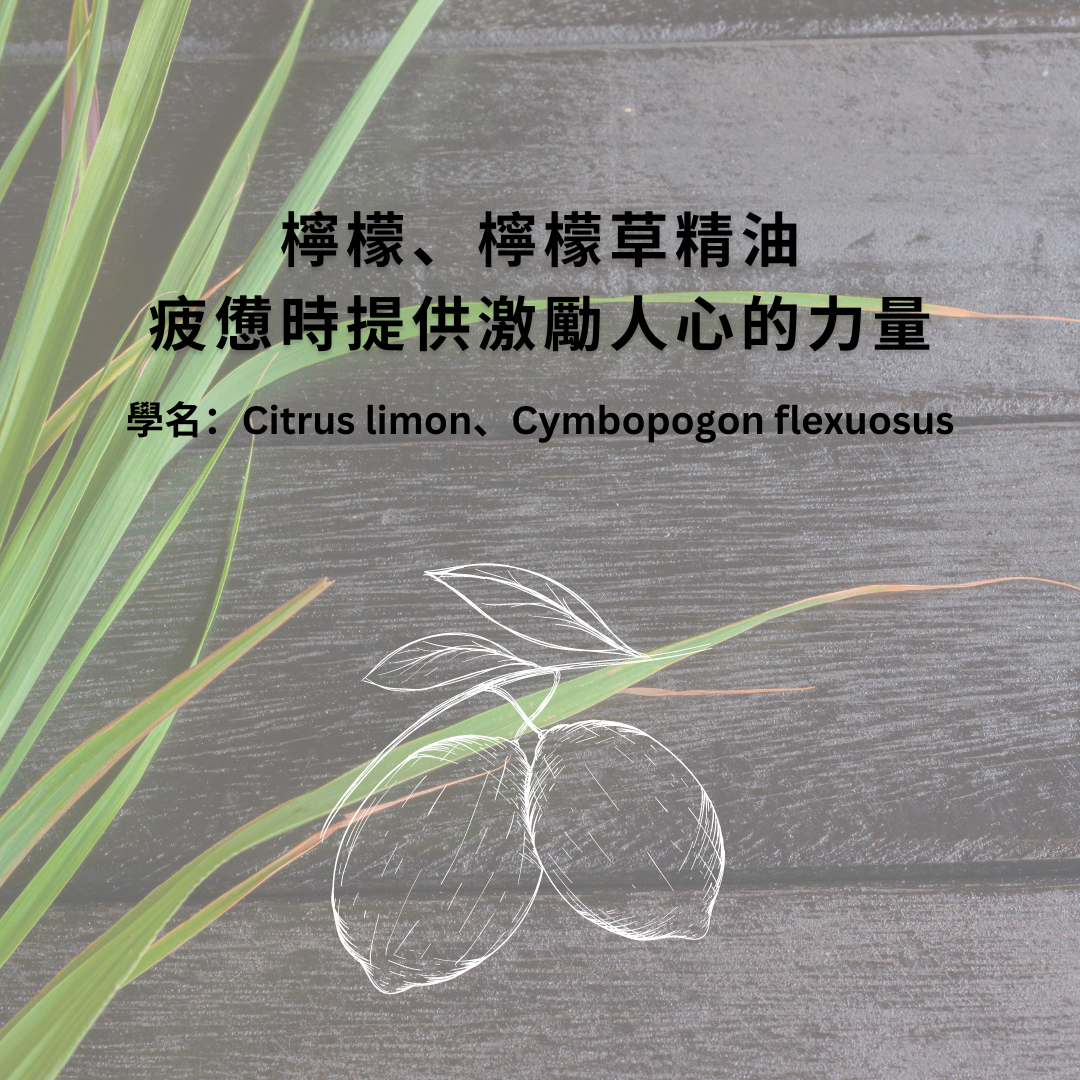 香皂, 檸檬草香皂, 運動專用肥皂, 去角質, 手工皂推薦, 沐浴皂, 沐浴皂, 敏感肌 手工皂, 沐浴皂 推薦, 純 皂, 天然手工皂, 天然肥皂推薦, 手工皂推薦, 全身皂, 純皂生活,the soap days