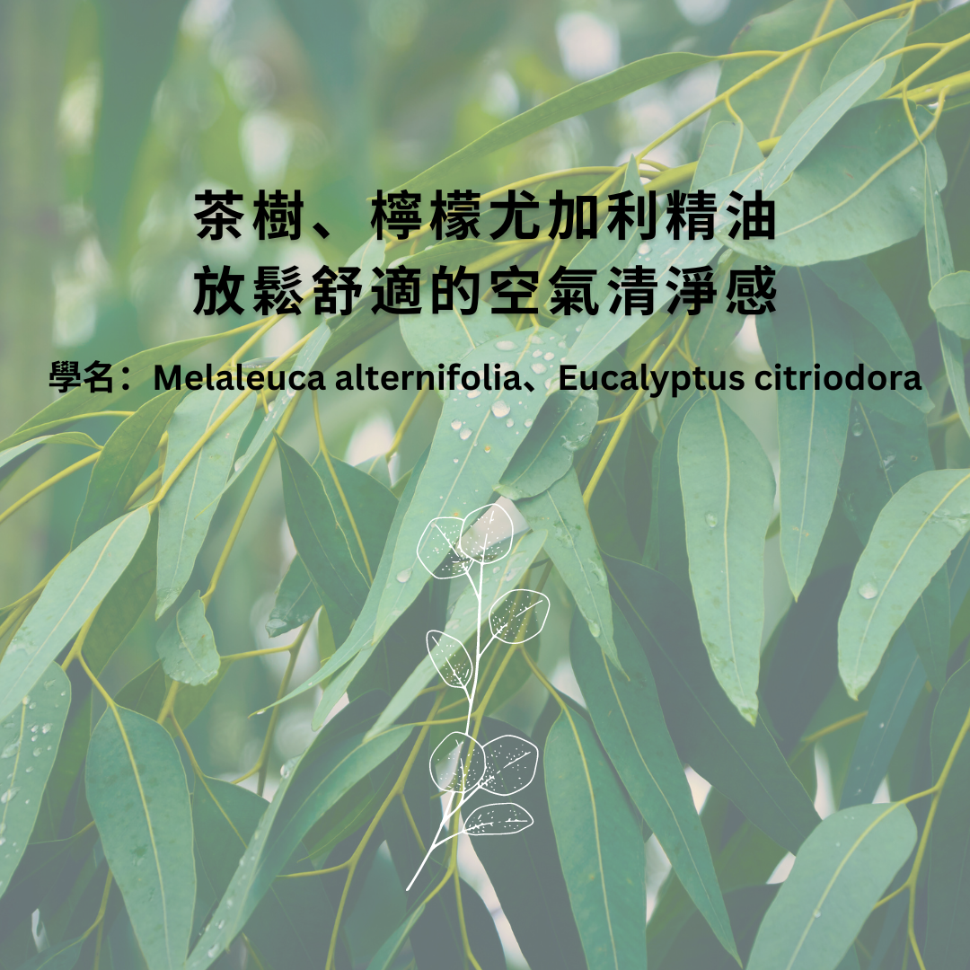 滋養抗菌手工皂｜檸檬尤加利、茶樹精油