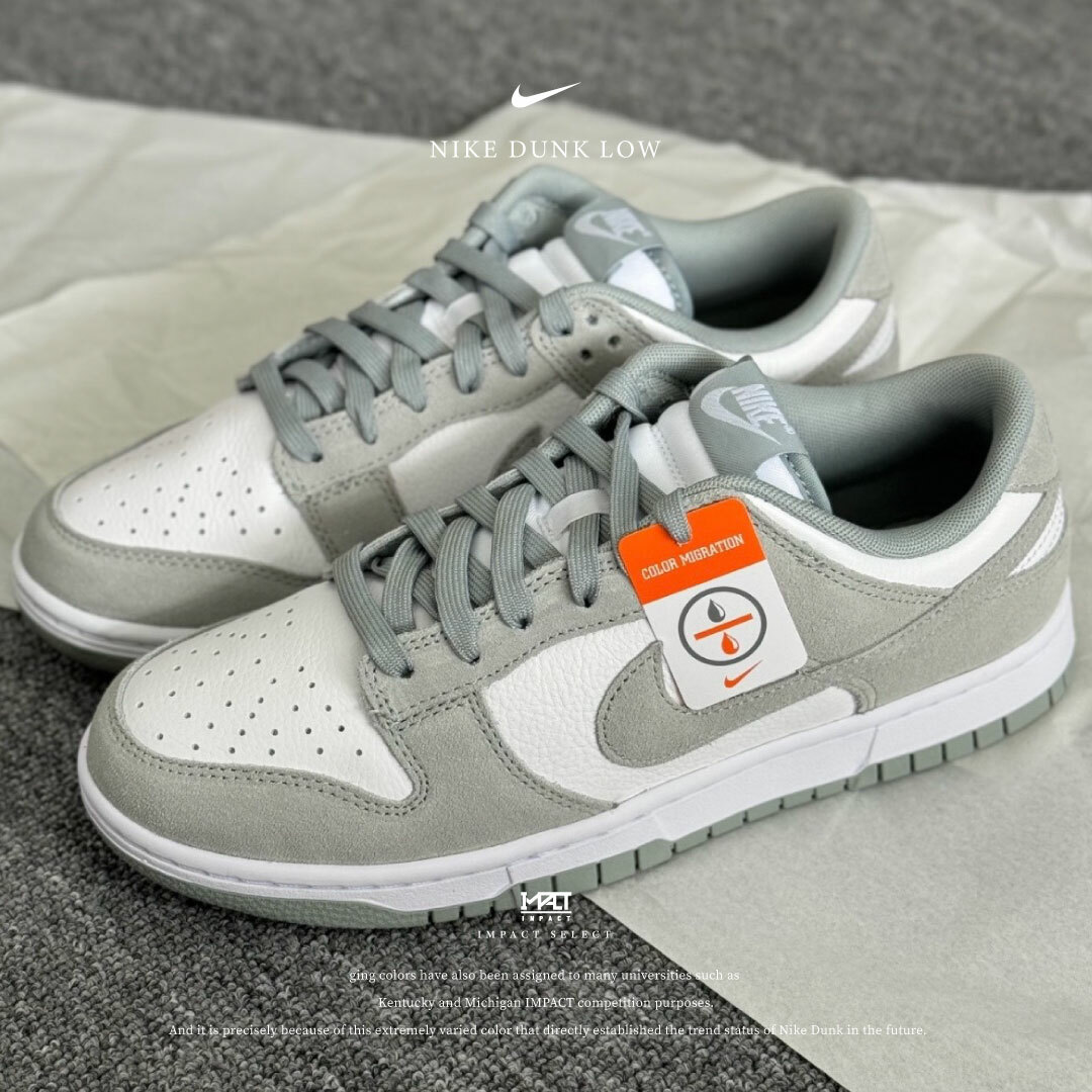 Nike Dunk Low 特殊麂皮版灰白FQ8249-101